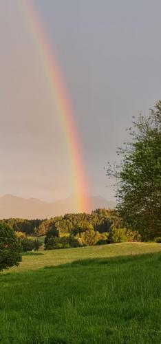20230704_204048